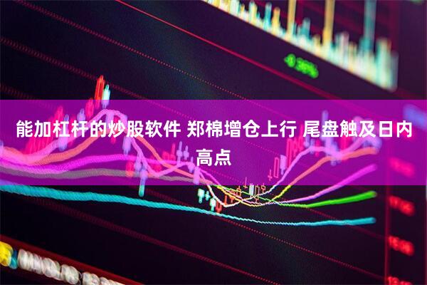 能加杠杆的炒股软件 郑棉增仓上行 尾盘触及日内高点
